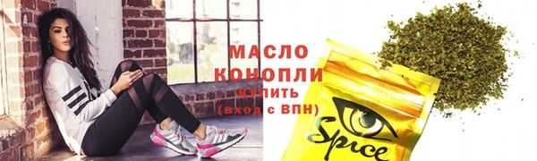 спиды Богородицк