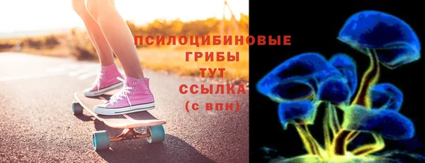 спиды Богородицк