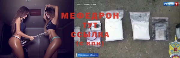 spice Богородск
