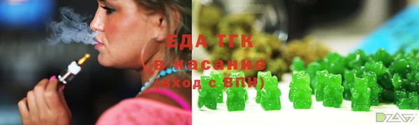 спиды Богородицк