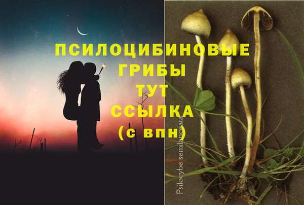 spice Богородск