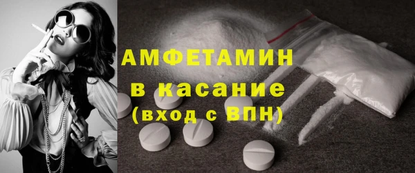 прущие грибы Баксан