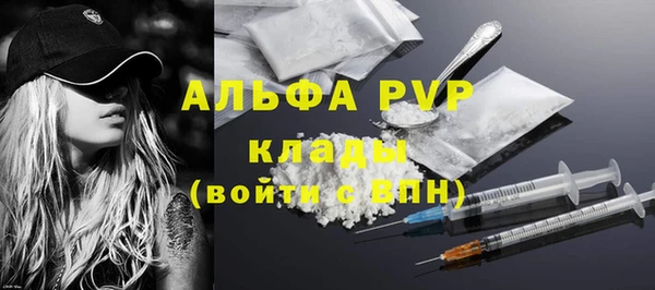 кокс Белокуриха