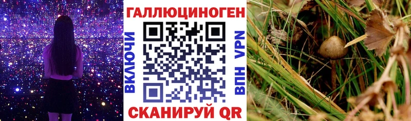Галлюциногенные грибы мухоморы Бронницы