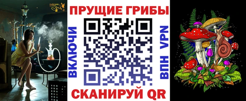 блэк спрут как зайти  Бронницы  Псилоцибиновые грибы Psilocybe 